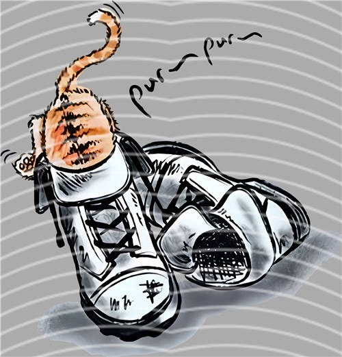 latest edition-KNY 1175